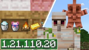 Minecraft 1.21.110.20 2