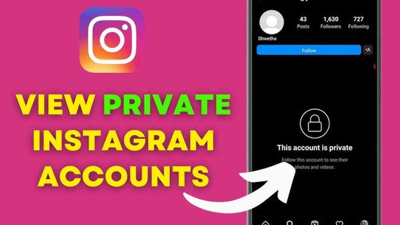 Private Insta screenshot