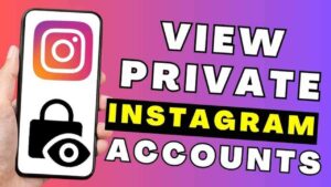 Private Insta 3